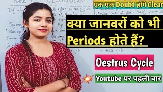 Oestrus Cycle  क्या जानवरों को भी Periods होते हैं  Periods In Animals  Types Of Periods [upl. by Arba]