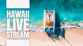 Hawaii LIVE Stream Lets just see what happens [upl. by Johathan997]