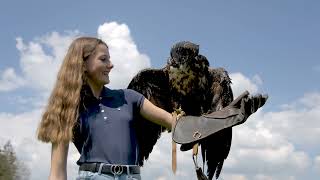 Tierparks der Eifel [upl. by Kiefer75]