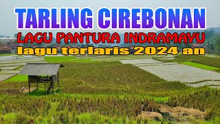 TARLING CIREBONAN INDRAMAYU LAGU PANTURA TERLARIS 2024 ENAK DIDENGAR [upl. by Manno]