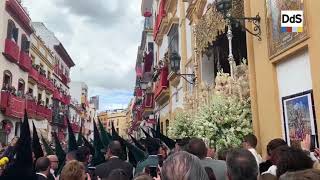 Entrada de la Esperanza de Triana  Semana Santa Sevilla 2019 [upl. by Ninerb459]