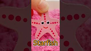 Fun Beach Puzzle Adventure Discover Starfish Shell and Crab kidslearning toys puzzle [upl. by Heimer]