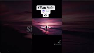 silent rain A Collection of Heartbreaking Ballads [upl. by Smalley69]