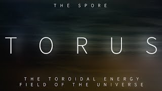 Torus The Toroidal Energy Field of the Universe The Spore [upl. by Kilgore]