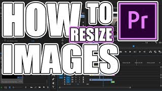 How To RESIZE Video CLIPS In Premiere Pro [upl. by Zebadiah]