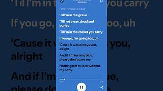 Birds Of A Feather  Billie Eilish lyrics  Subscribe for more [upl. by Klinger]