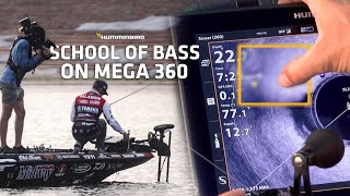 School of Bass on MEGA 360  BASS Elite Lake Fork with Palaniuk [upl. by Ruthy]