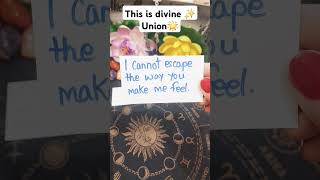 Its divine Union ✨️ 😍 tarotreading tarot currentfeelings lovetarot tarotcardreading [upl. by Kurzawa]