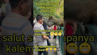 Monyet punya dendam😁😁vidioshortvideo [upl. by Wit195]