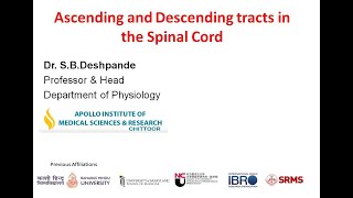 Ascending and Descending Tracts in the Spinal cord [upl. by Galasyn]