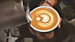 The Worlds Most Satisfying Barista Latte Art Training Compilation [upl. by Amhser]