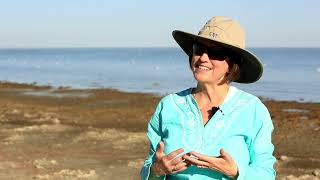 An 800000 Year History of Great Salt Lake With Dr Bonnie Baxter [upl. by Riddle]