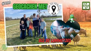 GEOCACHEN MET TEAM ZILVERDAEL BIJ DE LAMMETJES HEBBES 099 [upl. by Babbie491]