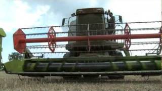 Shooting rabbits from a combine harvester [upl. by Omland]