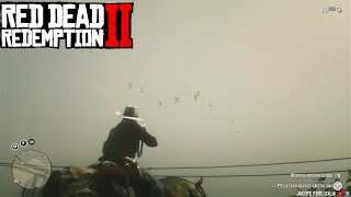 RDR2 ITA  PELLICANO BIANCO AMERICANO  Posizione e caccia 2022 [upl. by Kasper]