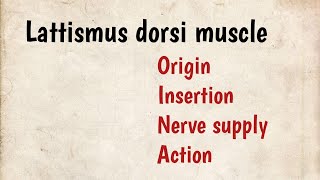 Lattismus dorsi muscle Origin Insertion Nerve supply Action [upl. by Essenaj490]