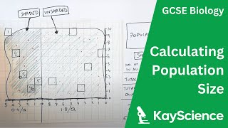 Using Quadrats Required Practical  GCSE Biology  kaysciencecom [upl. by Nannerb]