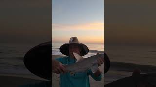 Sunrise Bonnethead shark catch and release at Melbourne Beach tight lines [upl. by Eitsrik384]