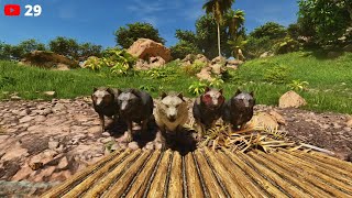 Rallying The Pack Building An Army Of Direwolves In Ark Survival Ascended [upl. by Pickar]