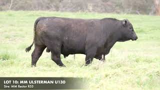 LOT 10 MILLAH MURRAH ULSTERMAN U130 [upl. by Danyluk]