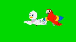 Birds flying Green screen Video Free to use [upl. by Alledi]