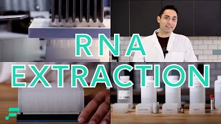 RNA Extraction Demonstration [upl. by Dustie]