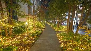 4K・ Tokyo Minato Christmas lights walk  Azabudai Hills and Tokyo tower・4K HDR [upl. by Tews]