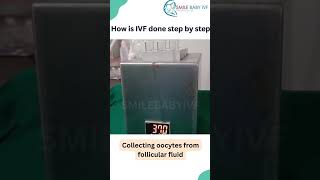 IVF Step by step Egg pick up ivf ivfjourney ivfsuccess [upl. by Acirt]