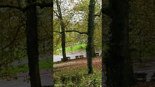 Осінь Charleville Mézières Ardenne France france life live nature [upl. by Curtice]