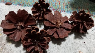 how to cut quotPine Cone Flowersquot DIYfashnLab [upl. by Attelahs]