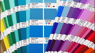 What are Pantone Colors The Guide to Color Consistency in Design [upl. by Malkah70]