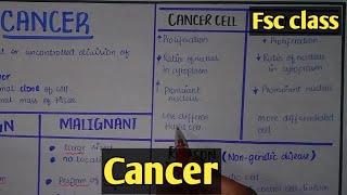 Cancer  benign And Malignant tumor  Class 12 Biology [upl. by Loar297]