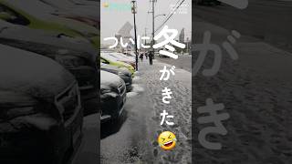 札幌の冬｜❄️市内でも積雪🤣‼️｜冬来たべゃ🐻 北海道札幌白石区 Shorts [upl. by Yazbak]