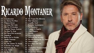 Ricardo Montaner Déjame llorar Festival de Viña del Mar 2016 [upl. by Woodrow742]