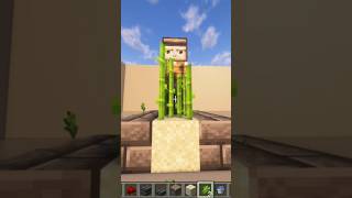 Automatic Reed Farm in Minecraft minecraft shorts minecraftshorts [upl. by Adley]