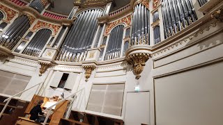 HÄRLIG ÄR JORDEN med organist Elis Helenius i Helsingfors domkyrka [upl. by Eiralav433]