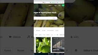 How to download images from pixabay free ©🔥😮 pixabay copyrightfree imege [upl. by Garrett]