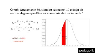 Standart Puan Z Skoru Standart Normal Dağılım Tablosu [upl. by Ecinhoj]