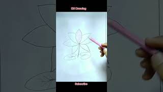 Water Lily Drawing🌷shorts youtubeshorts drawing art waterlily KN Drawing easydrawing [upl. by Ilujna]