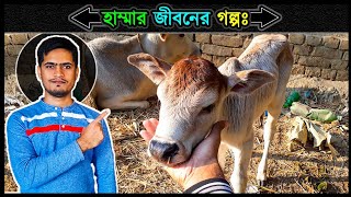 হাম্মাকে বাঁচানোর ঘটনা 🔥 গরুর বাছুরের জন্মের গল্প ⚡ Jactok পাখি ভাইয়া [upl. by Fairfield]