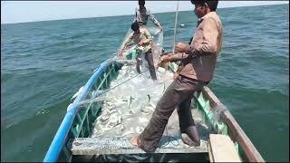 Haw To Deep Sea Fishing Trips Mangrol Bara Sea Fishing Amazing [upl. by Ojoj]