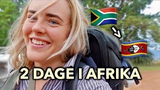 Rejser fra Sydafrika til Eswatini🦁🐘⛺️ [upl. by Shipley]