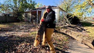 DEAD Tree Falls On Elderly Ladys CAT So We Did This To Help Her Out [upl. by Petuu]