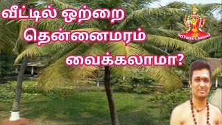 வீட்டில் ஒற்றை தென்னை மரம் வைக்கலாமா coconut tree in tamil [upl. by Jaime]