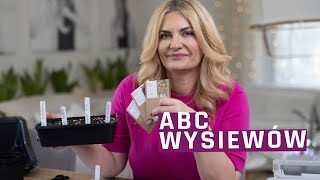 ABC wysiewów  jak siać kwiaty  ogród dla początkujących [upl. by Brant298]