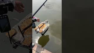 Bro，be generous when fishing fishing carpfishing boatman baitboat bassfishing bait boat [upl. by Almeida]