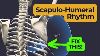 Scapulohumeral Rhythm  Fix Your Shoulders [upl. by Anina]