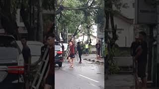 Hujan Angin Di Cimahi Banyak Pohon Tumbang Lokasi Jln Jend Sudirman Cimahi Jawa Barat [upl. by Gautious]