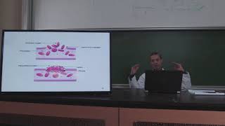 2ème annéeCours Hémostase 2  Coagulation  fibrinolyseVidéo 1partie 220192020 [upl. by Valencia]