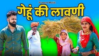 गेहूं की लावणीcomedy videopuneetmalik1941 [upl. by Ifill309]